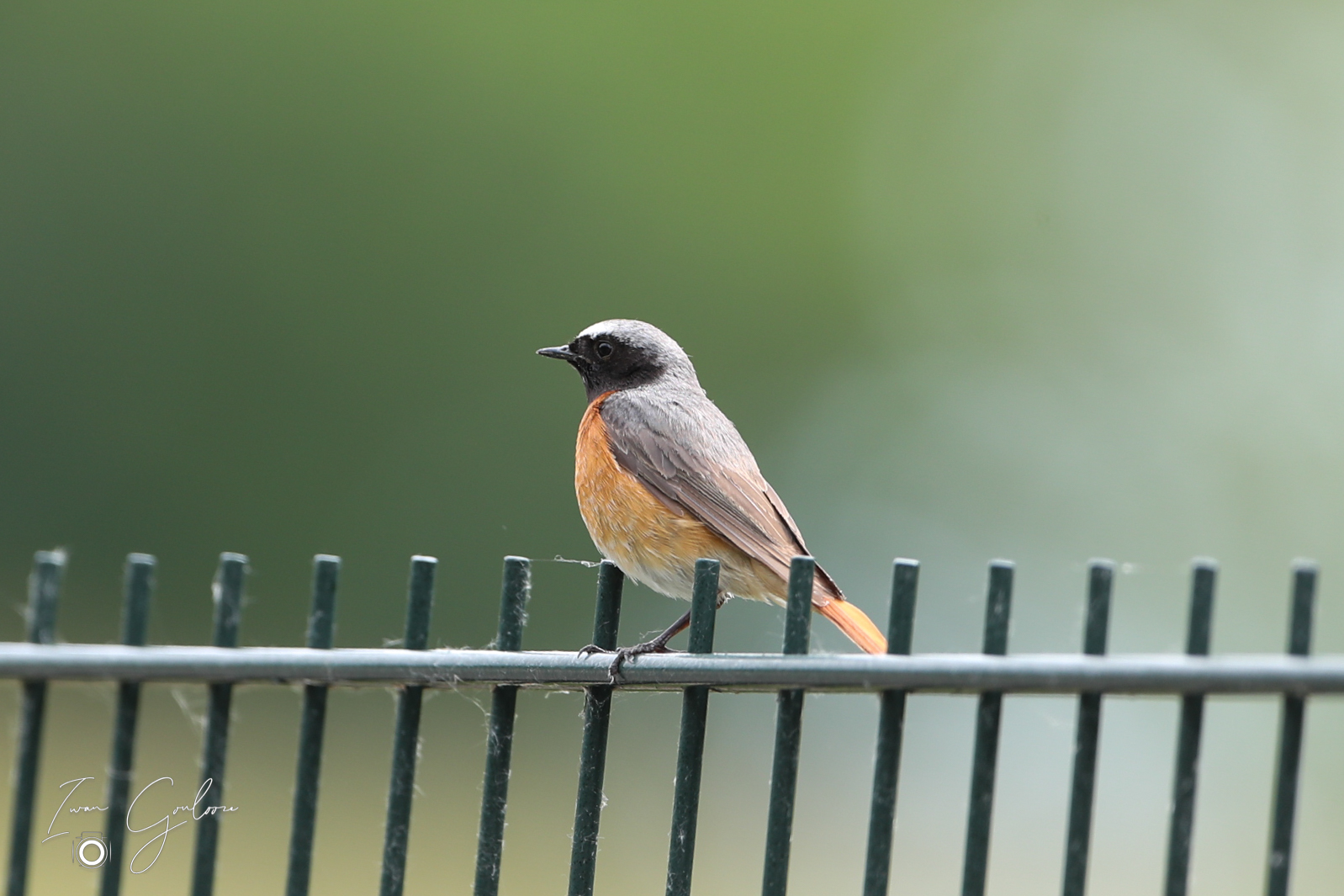 1DX45909 04 juni 2022 1209 19